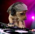 Avatar de luchanadj