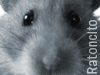 Avatar de Ratoncito