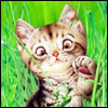 Avatar de reyelbebe