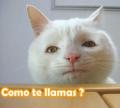 Avatar de soyowee