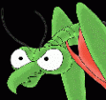Avatar de zorak